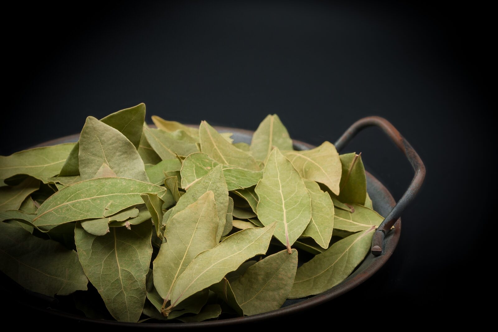 Bay Leaves