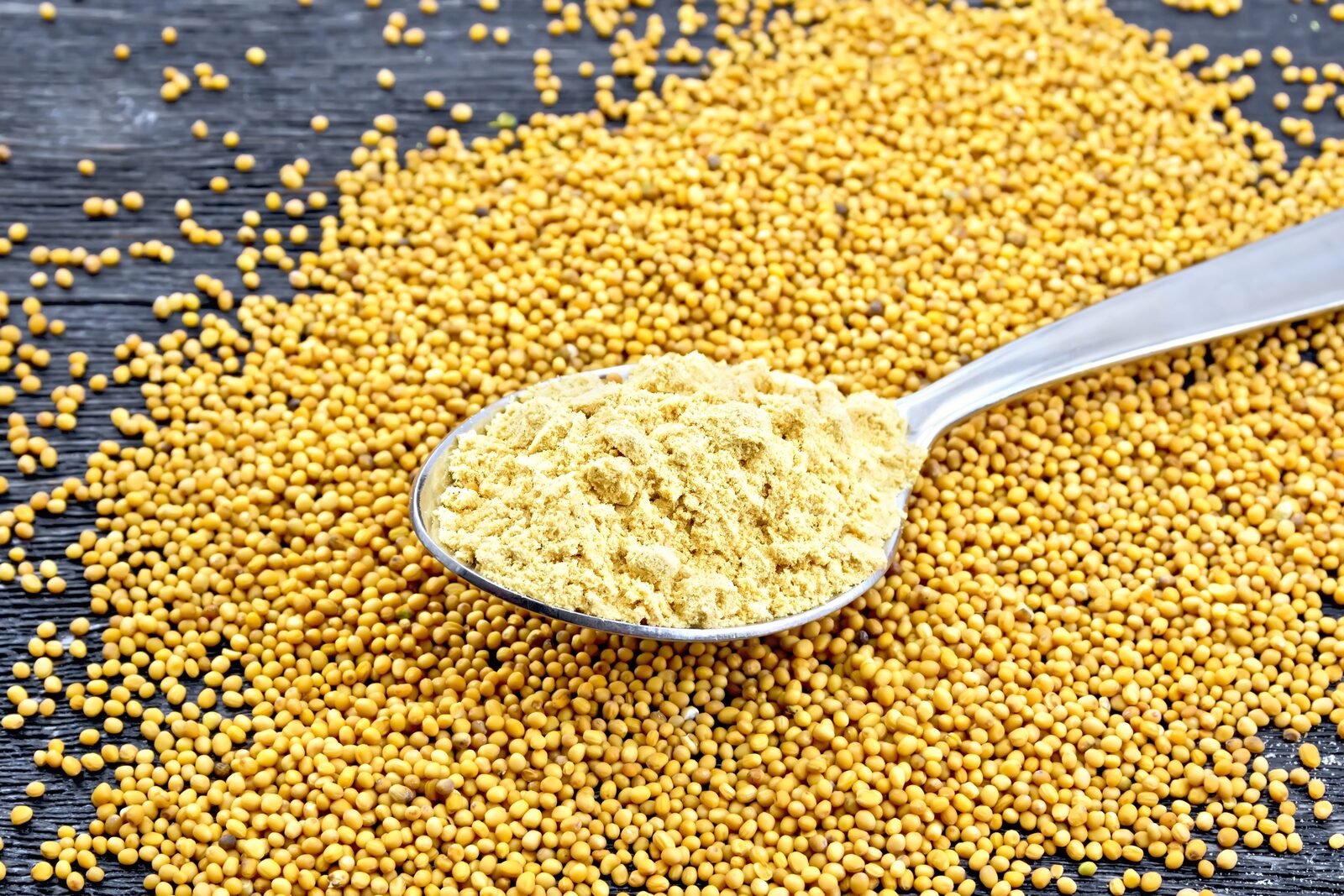 White Mustard Powder